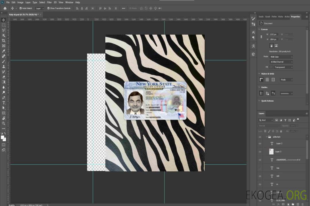 USA New York DL photolook AVANT template